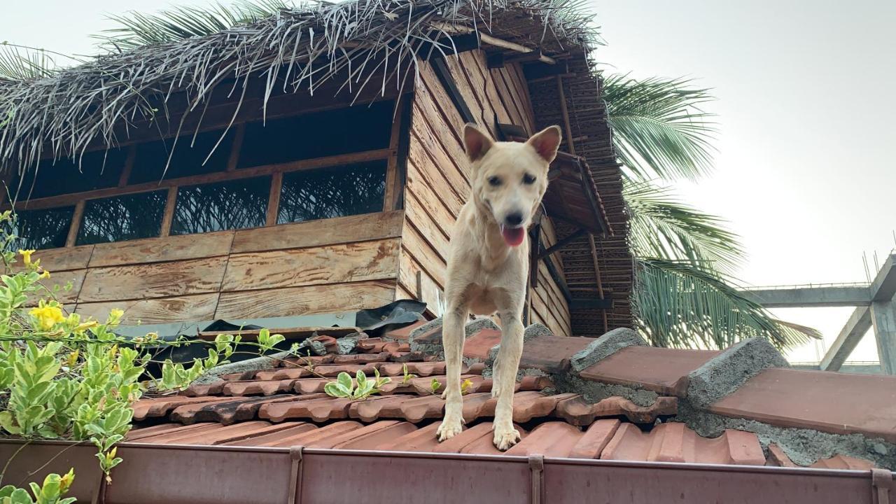 Wanderers Hostel Trincomalee Exterior photo